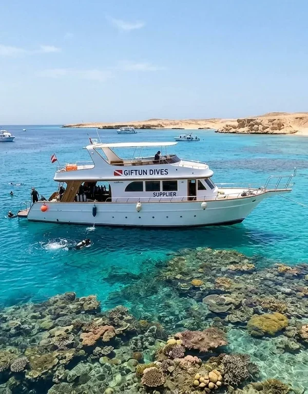 Gifton Island trip