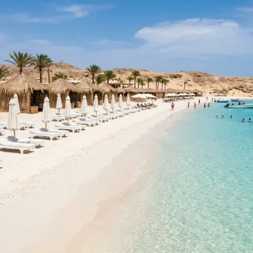 Mahmya Island Day Trip from Hurghada