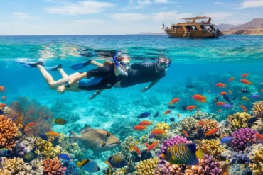 Red Sea Snorkeling from Hurghada: A Practical Guide