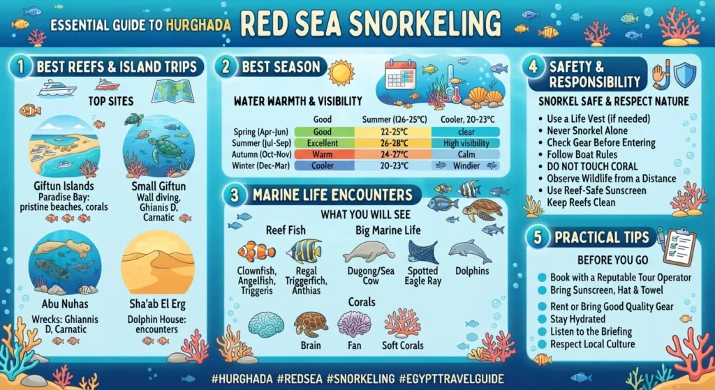 Red Sea Snorkeling from Hurghada: A Practical Guide