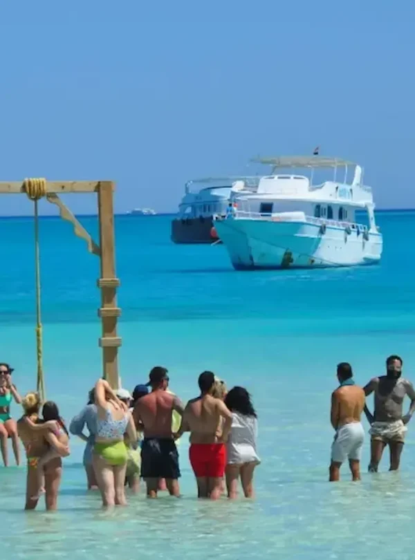 orange bay trip