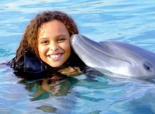 Hurghada Dolphin Show