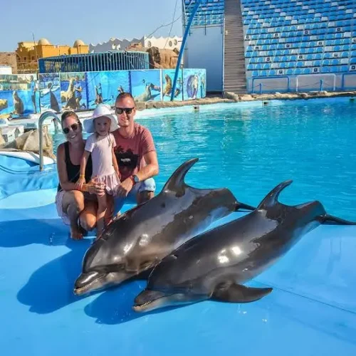 Hurghada Dolphin Show