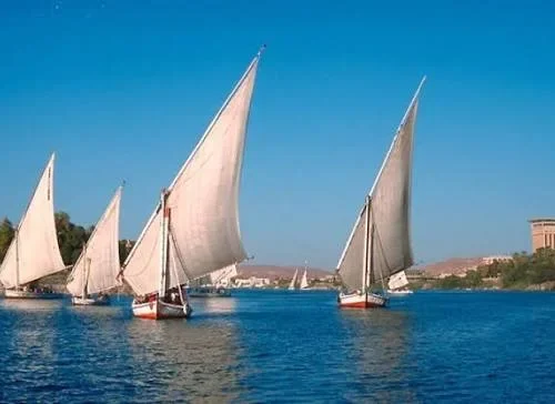 Felucca Sailing