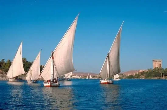 Felucca Sailing