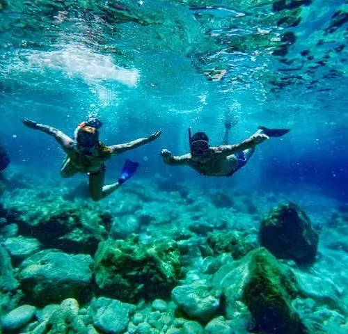 Dolphin House Snorkeling Trip from Hurghada