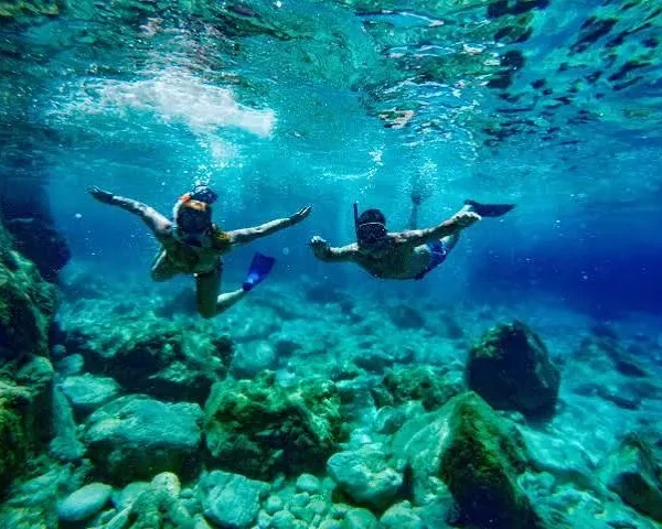 Dolphin House Snorkeling Trip from Hurghada