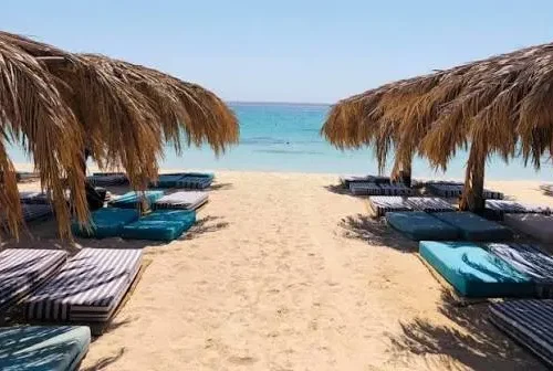 Mahmya Island Day Trip from Hurghada
