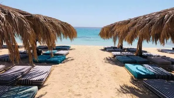 Mahmya Island Day Trip from Hurghada