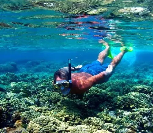 Mahmya Island Day Trip from Hurghada