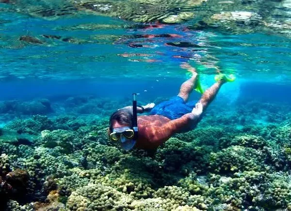 Mahmya Island Day Trip from Hurghada