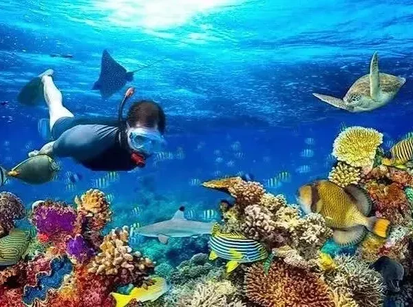 diving