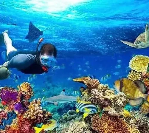 Mahmya Island Day Trip from Hurghada