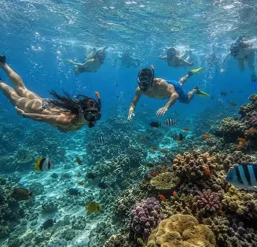 Hula Hula Island Boat Trip from Hurghada