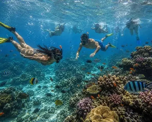 Hula Hula Island Boat Trip from Hurghada