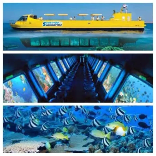 Hurghada Semi-Submarine and Coral Reef Trip