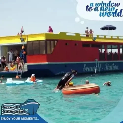 Hurghada Semi-Submarine and Coral Reef Trip