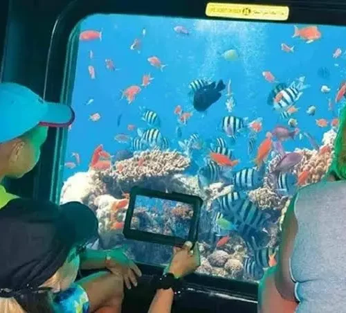 Hurghada Semi-Submarine and Coral Reef Trip