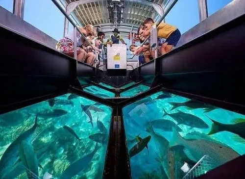 Hurghada Semi-Submarine and Coral Reef Trip
