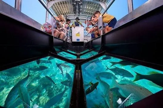 Hurghada Semi-Submarine and Coral Reef Trip