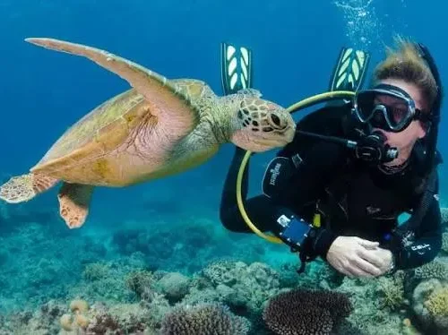 Scuba Diving Experience in Hurghada