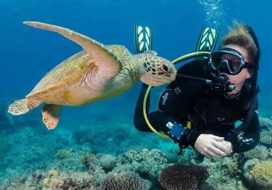 Scuba Diving Experience in Hurghada