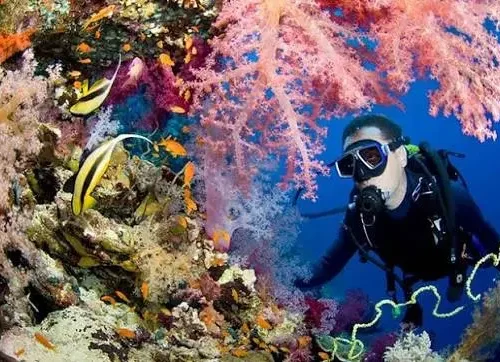 Scuba Diving Experience in Hurghada