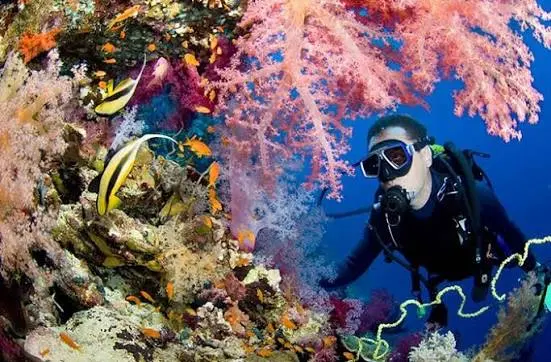 Scuba Diving Experience in Hurghada