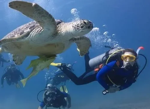 Scuba Diving Experience in Hurghada