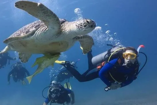 Scuba Diving Experience in Hurghada