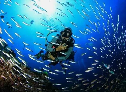 Scuba Diving Experience in Hurghada